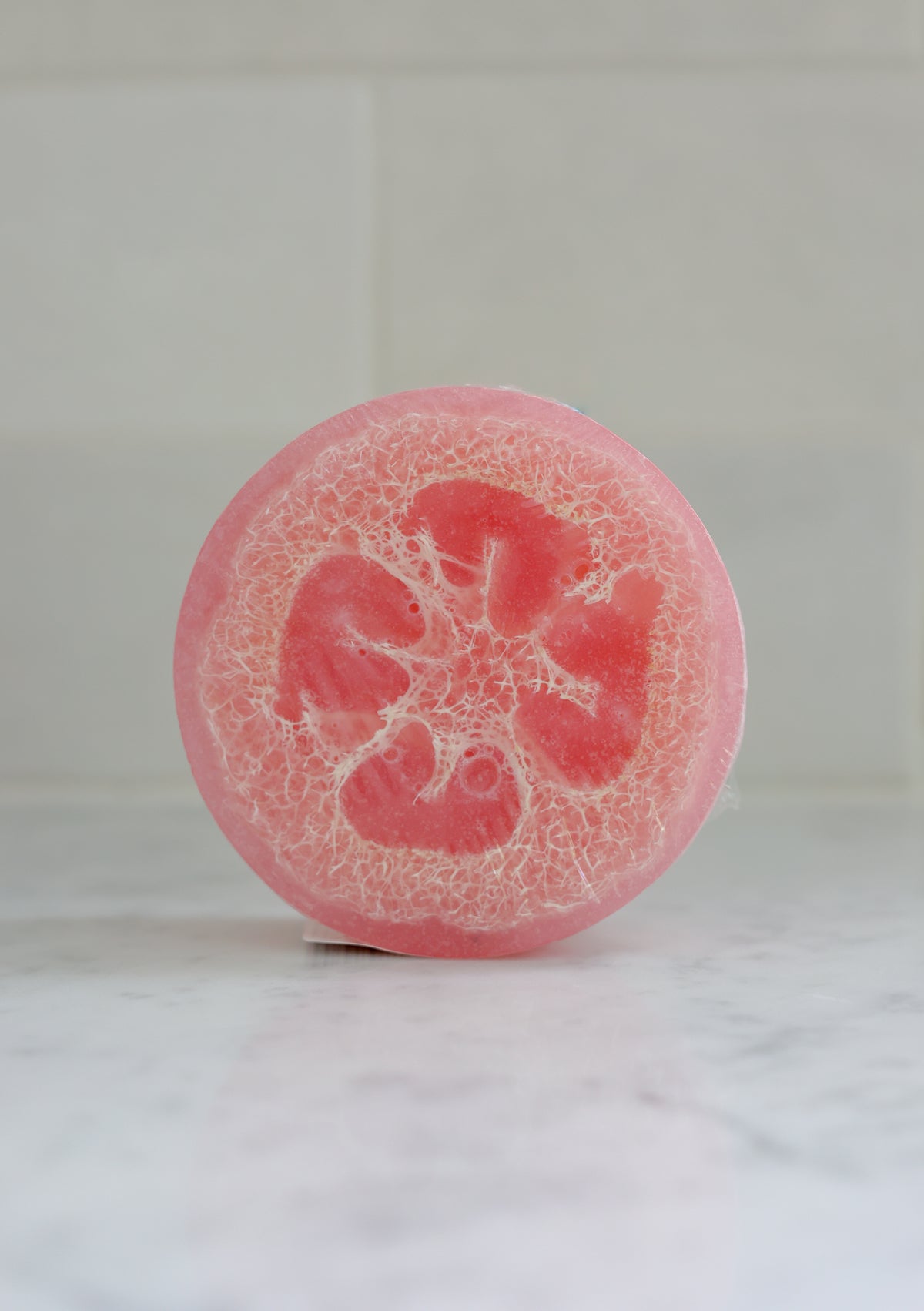 Glycerin Loofah Soap