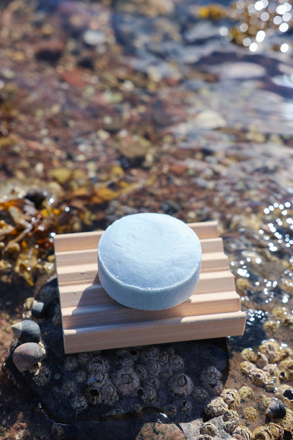 Shampoo Bar