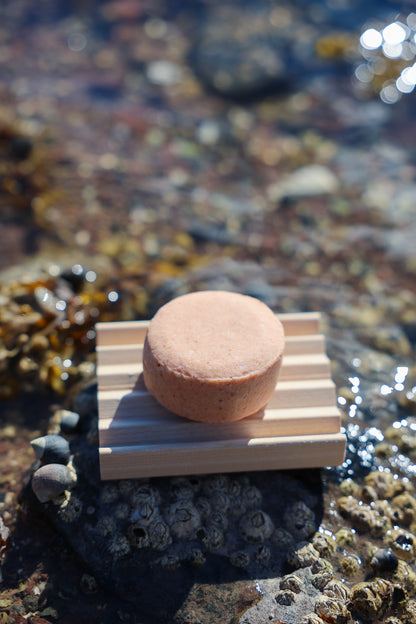 Shampoo Bar
