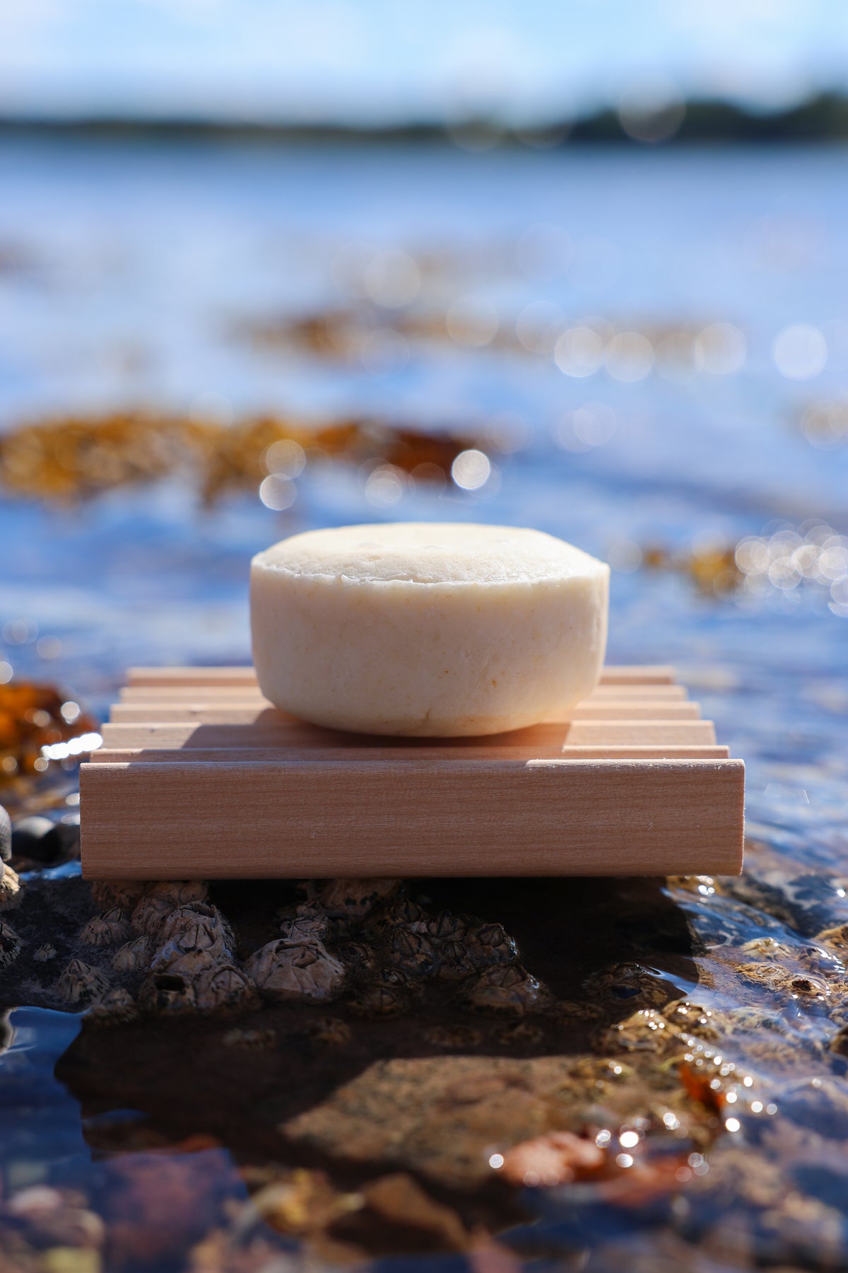 Shampoo Bar