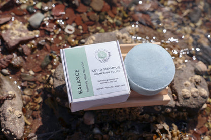 Shampoo Bar